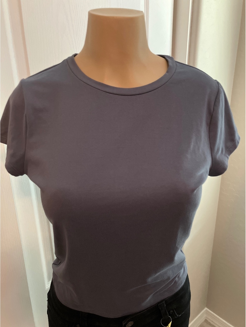 NWOT Hollister Collection Women's Short Sleeve T-Shirt